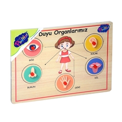 Ahşap Tutmalı Organlar 166/167 - PlayWood-Onyıl