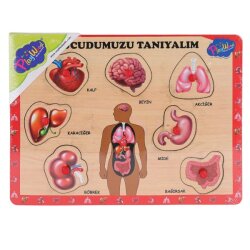 Ahşap Tutmalı Vücudumuzu Tanıyalım - PlayWood-Onyıl