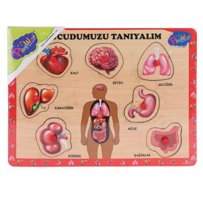 Ahşap Tutmalı Vücudumuzu Tanıyalım - 1