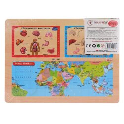 Ahşap Tutmalı Vücudumuzu Tanıyalım - 2