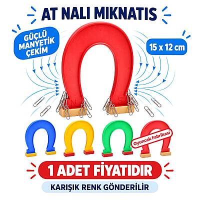 At Nalı Mıknatıs 15 cm Eğitici Fen Deneyleri İçin Manyetik Okul Materyali - 1