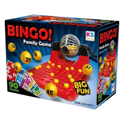 Bingo Lotto Oyunu - 1