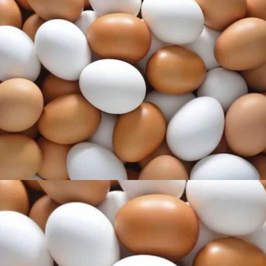 Oyuncak Plastik Yumurta 10 Adet Filede