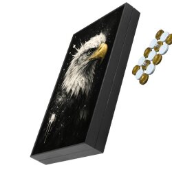 Wibo Trendy Kara Kartal Tavla Takımı Büyük Boy Pul Hazneli - 3